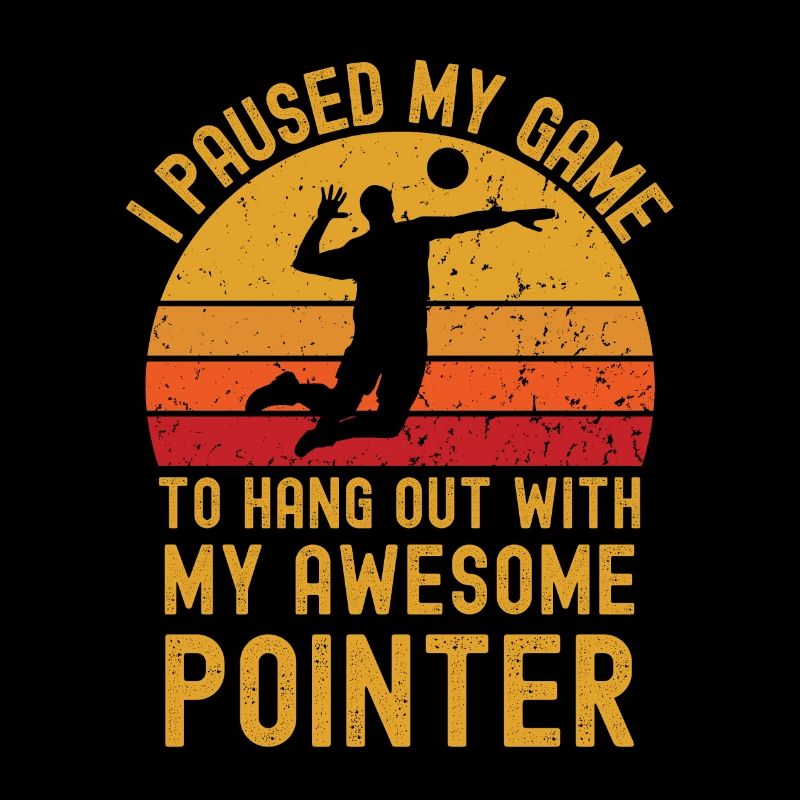 Volleyball et Pointer
