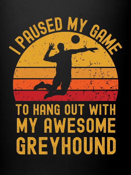 Volleyball et Greyhound