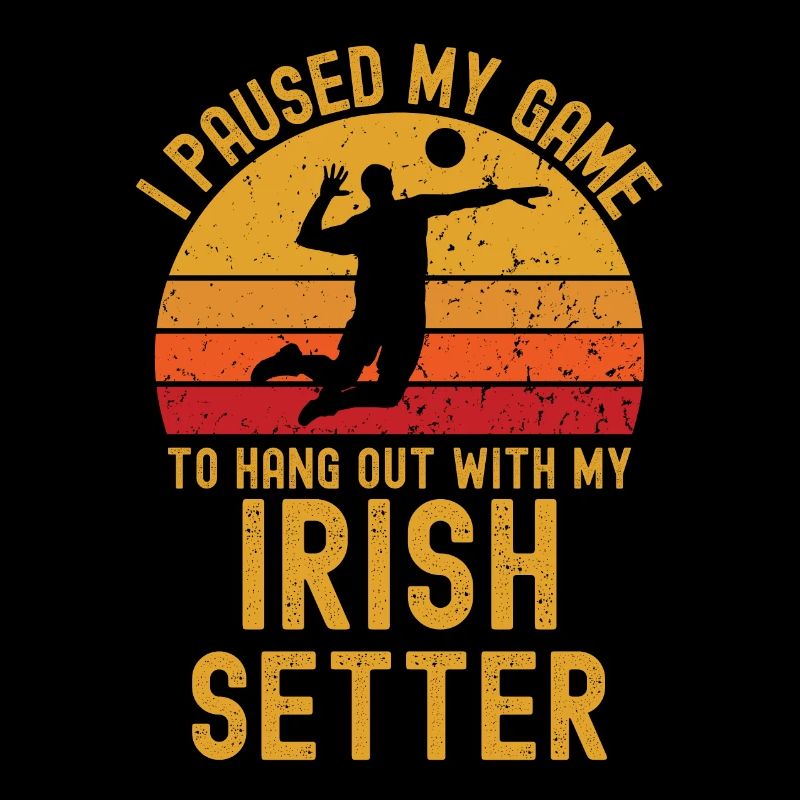 Volleyball und Irish-Setter