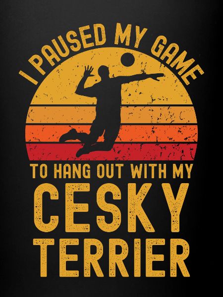 Volleyball et Cesky Terriers