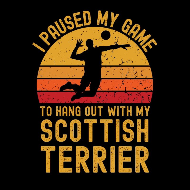 Volleyball et terriers écossais