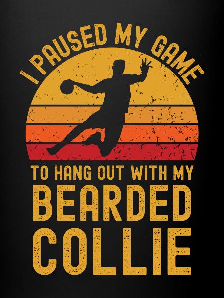 Handball et Bearded-Collie
