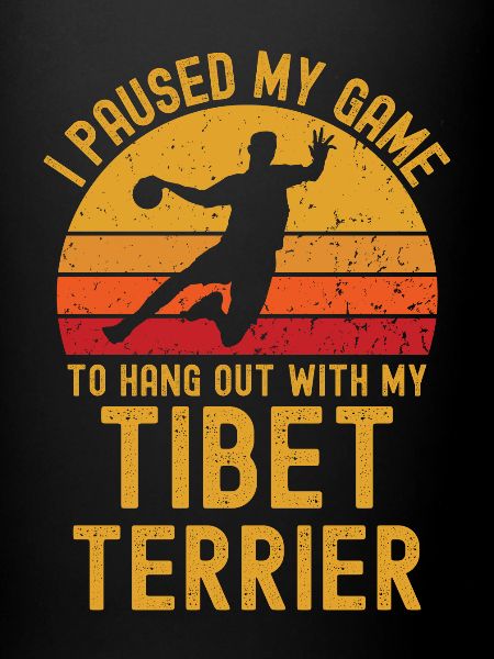 Handball et terriers tibétains