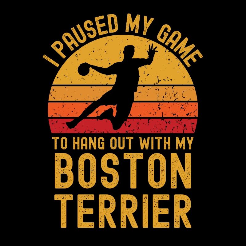 Handball und Boston-Terrier