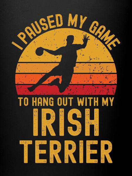 Handball et Irish Terriers