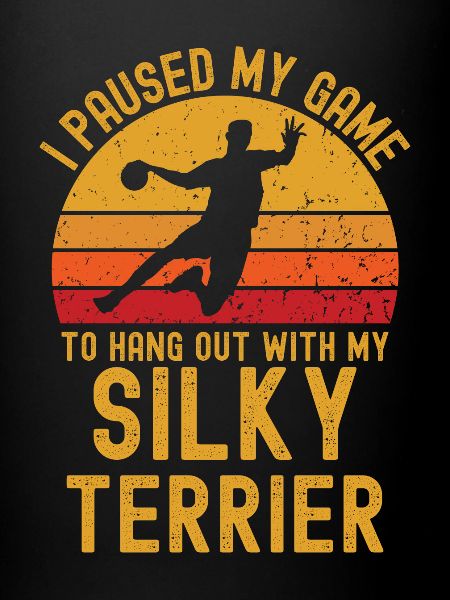 Handball et Silky-Terrier