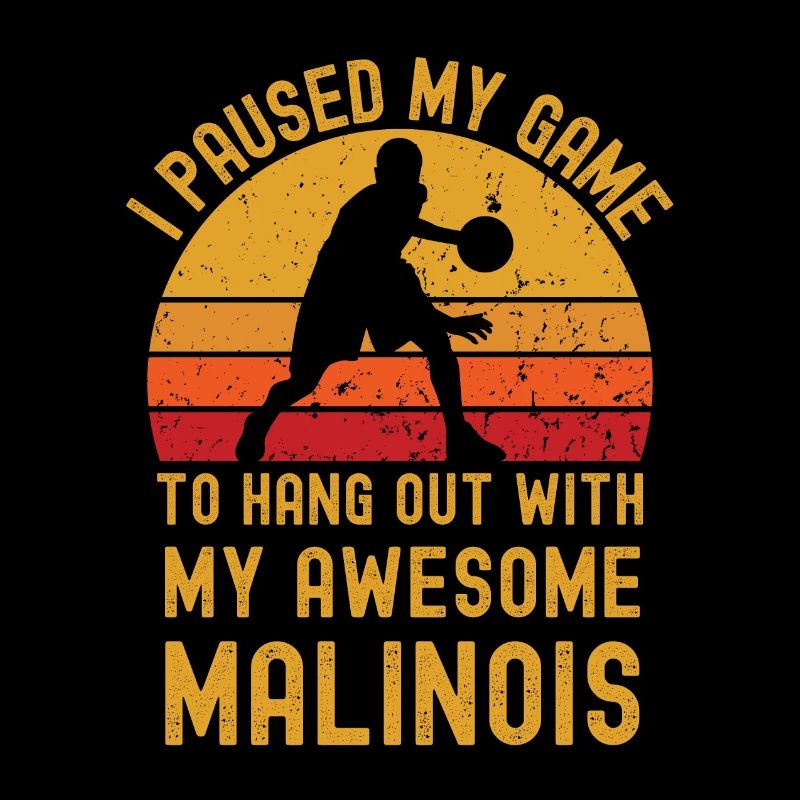 Basketball und Malinois