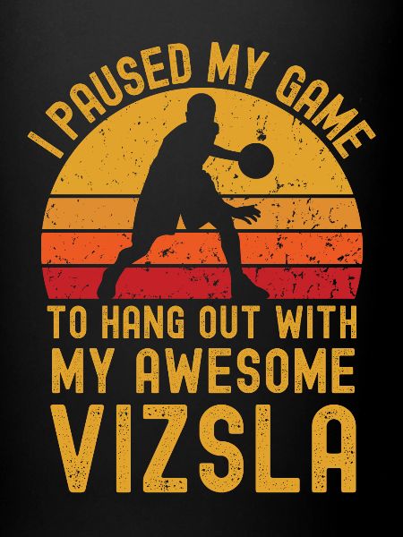 Basketball et Vizsla