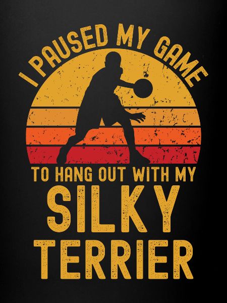 Basketball et Silky Terrier