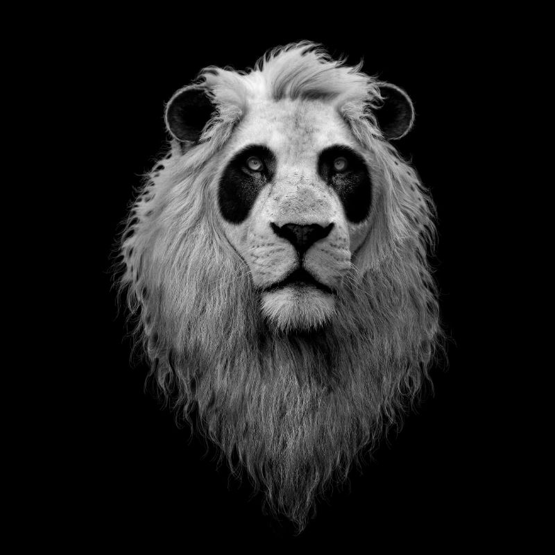 PANDALION