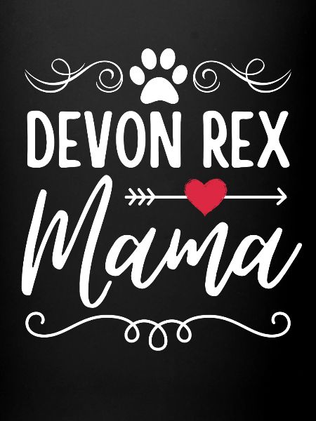 Devon Rex Mama