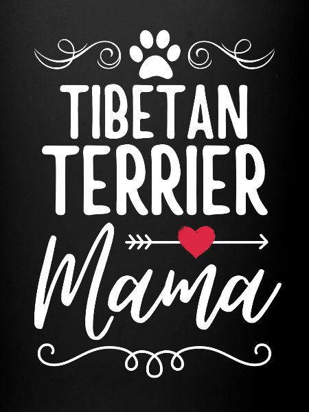 Terrier tibétain Mama