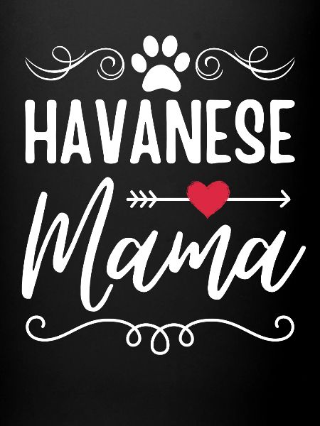 Havanese Mama