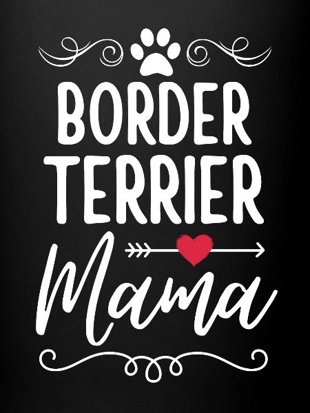 Border Terrier Mama