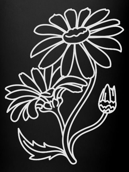 Marguerites simples
