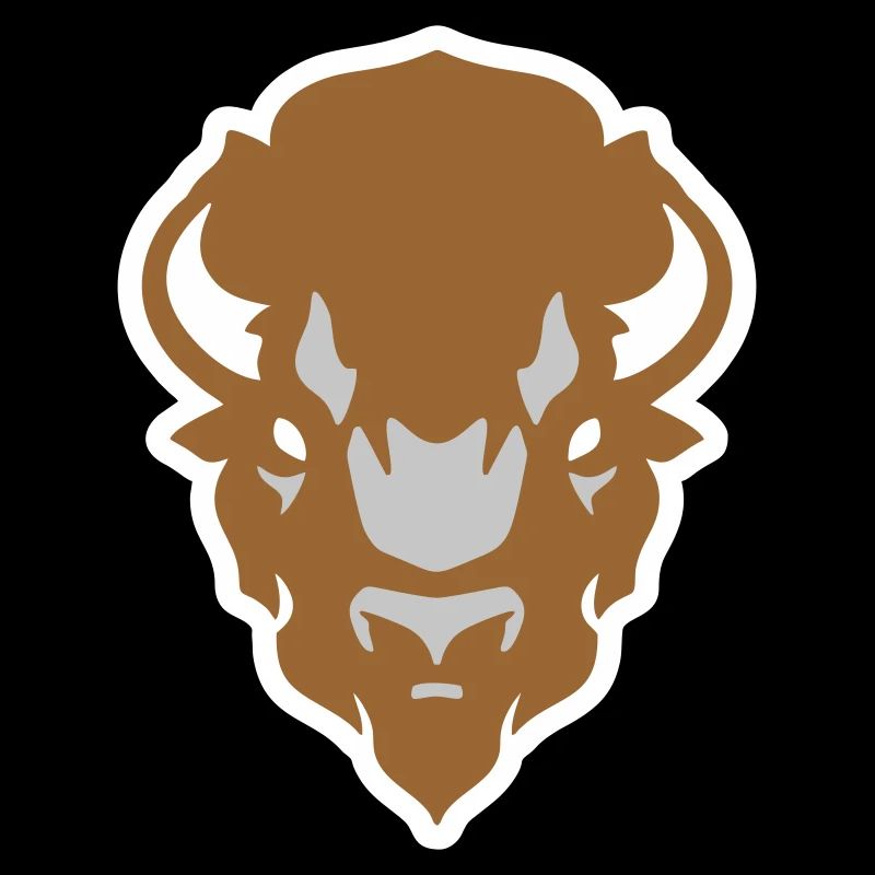 Indian Buffalo Bison colouring