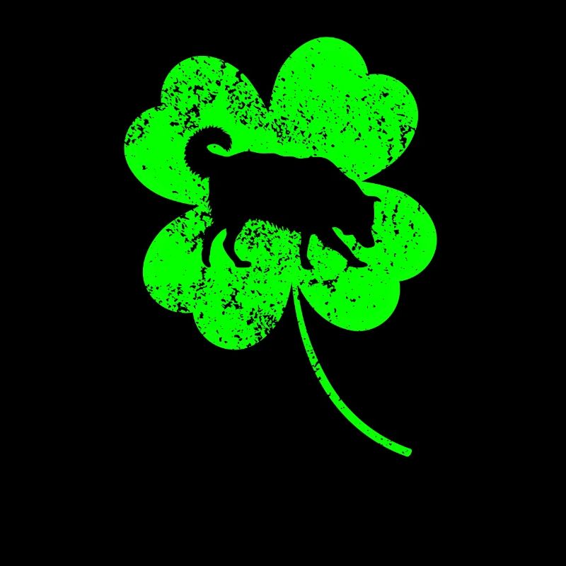 Border-collie Saint-Patrick Trèfle