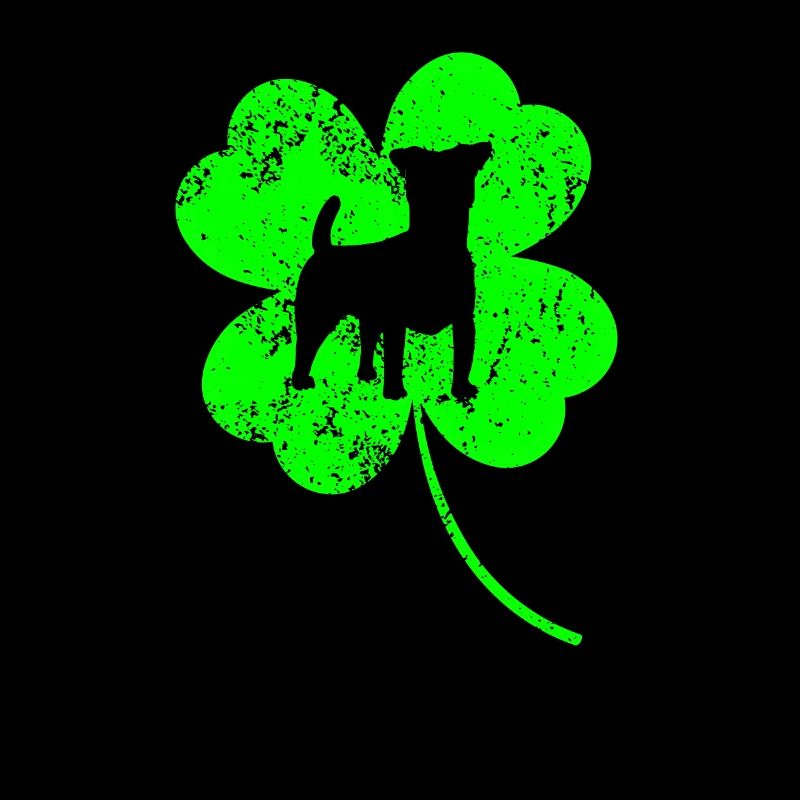 Russel-terrier Saint-Patrick Shamrock