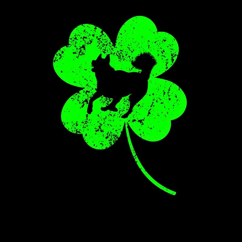 Husky St.Patricks jour Shamrock
