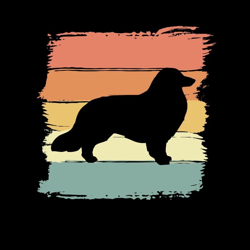 Collie retro