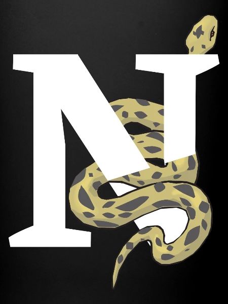Letter n snake