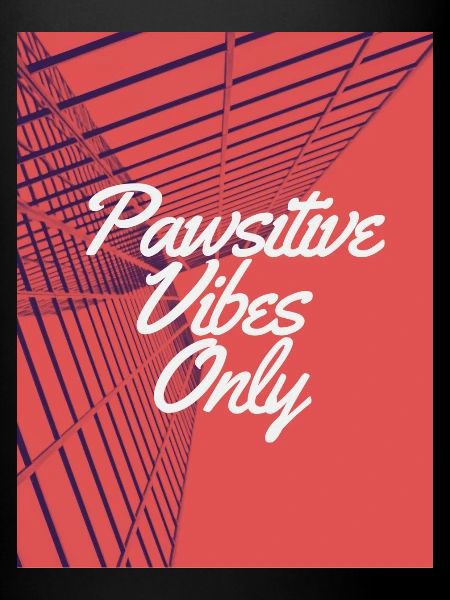 Positive vibe only