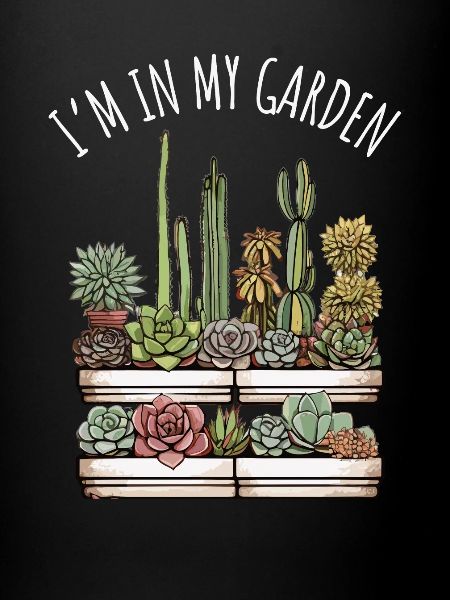 Succulentes drôle de dicton