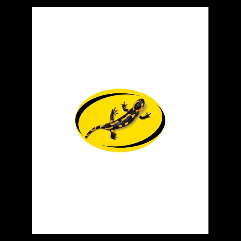 salamandre fond jaune