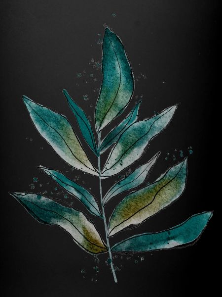 Nature, Feuille, Feuilles - Vert