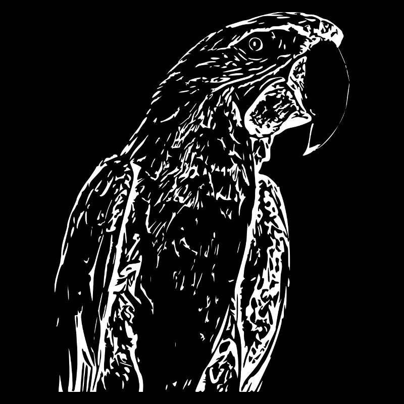 Perroquets Oiseau Blanc