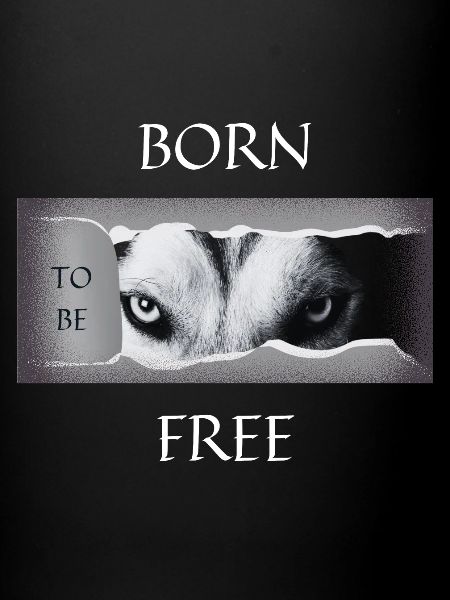 Né pour être libre.