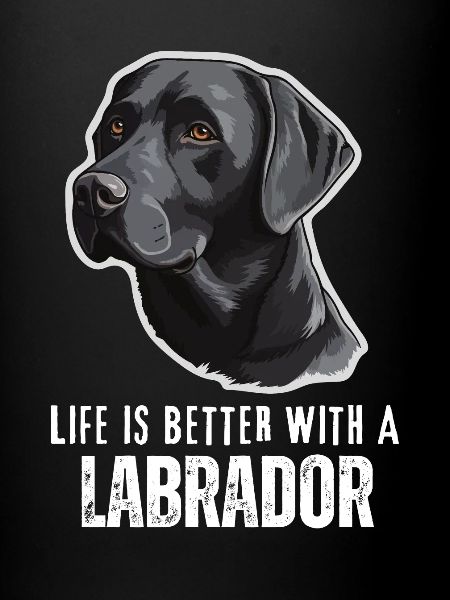 Labrador