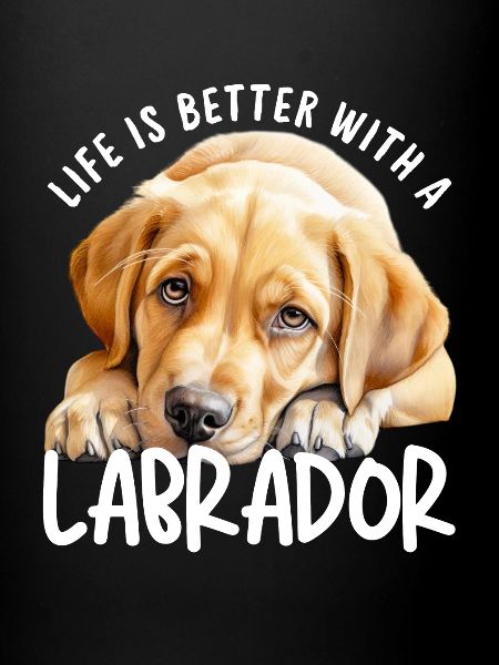 Labrador Retriever