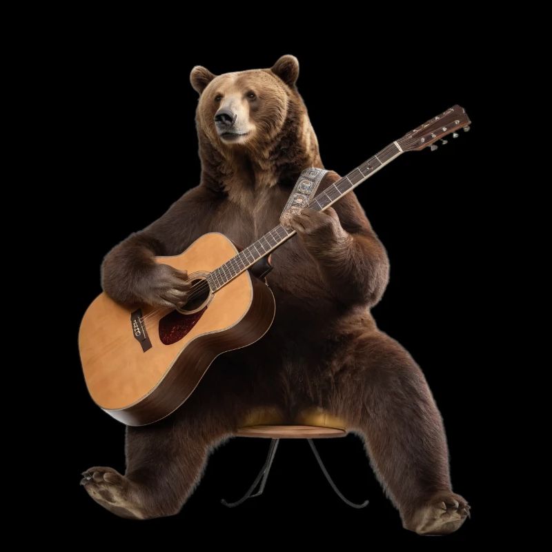 Grizly Bear Guitar