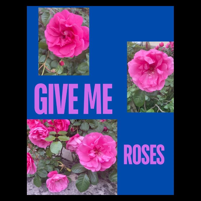 GIVE ME ROSES