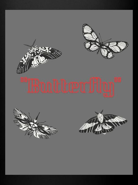 Papillon