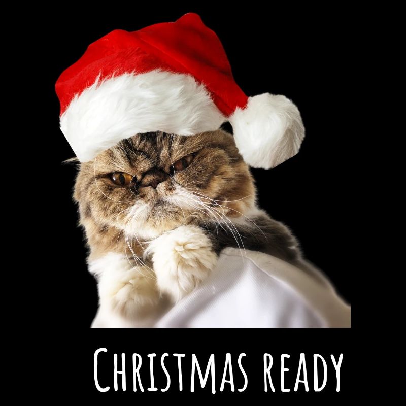 Angry Cat - Christmas Ready