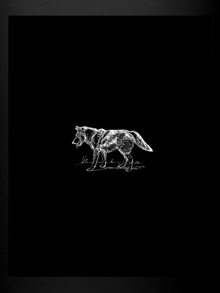 wolf