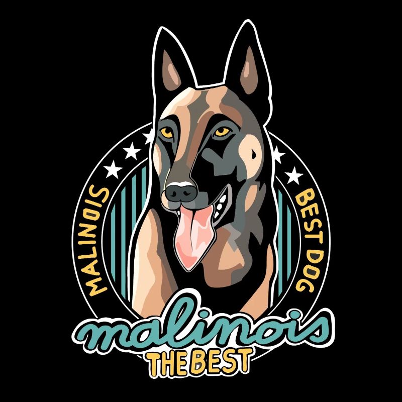 Der beste Malinois
