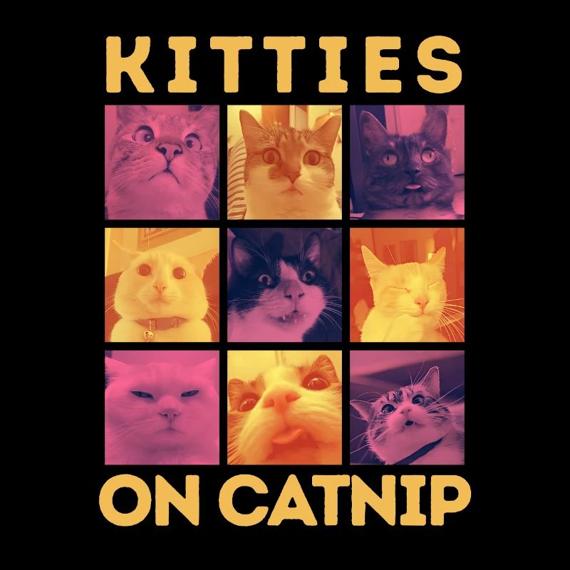 Chats sur l’herbe à chat - Conception de mèmes amusants