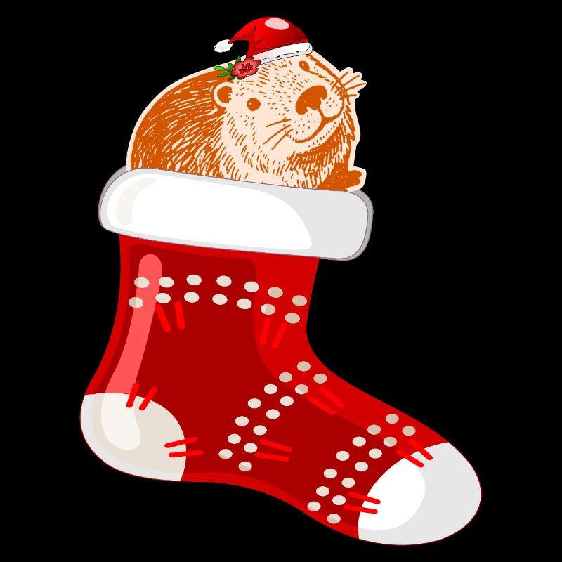 WEIHNACHTSMANN WEIHNACHTSSTRÜMPFE CAPYBARA