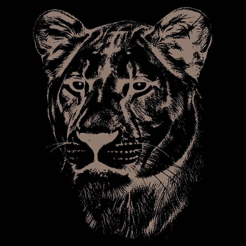 Lioness Illustration