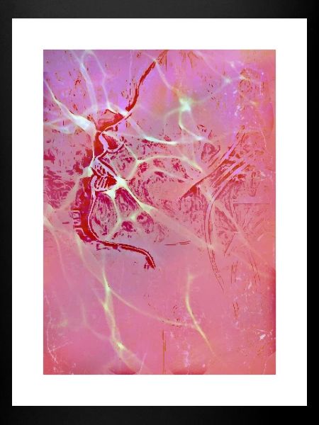 Reflets Abstraits Roses