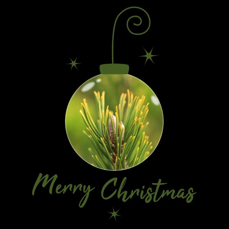 Sapin dans la boule de Noël, boule de branches de sapin