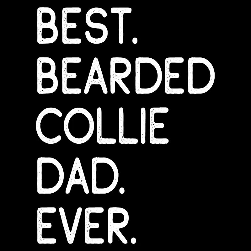 Bearded Collie