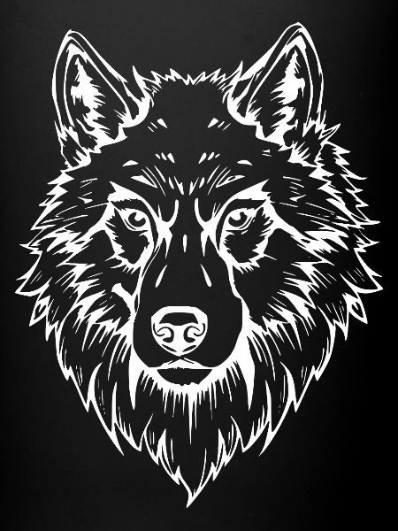 weißer Wolf Gesicht Kopf