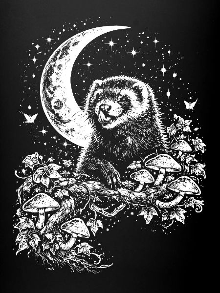 Moon Ferret