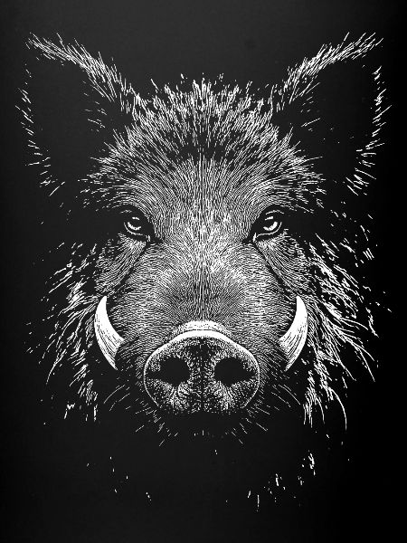 Wild boar