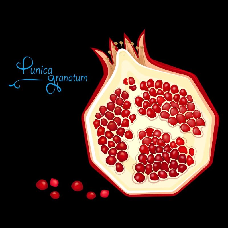 Pomegranate Apple