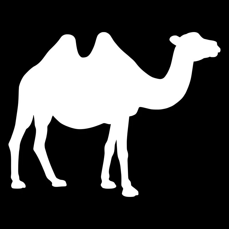 Camel silhouette